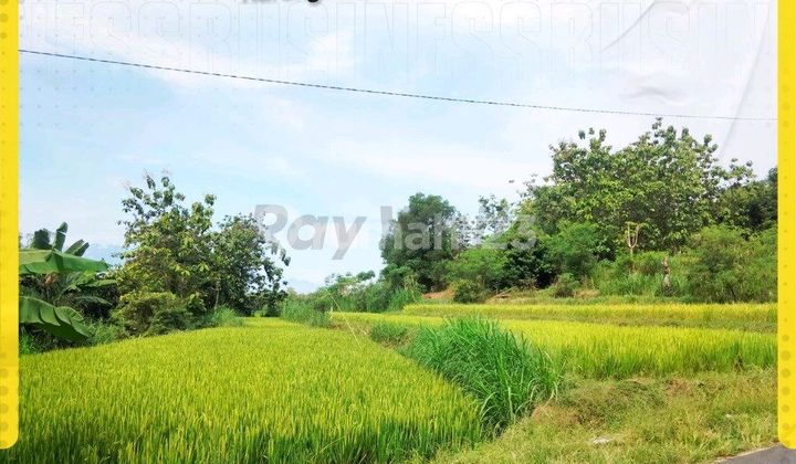 Tanah Dijual Di Karangturi Gondangrejo Karanganyar, Cocok Untuk Perumahan, 500rb/m2 Nego Tanah Dijual Di Karangturi Gondangrejo Karanganyar, Cocok Untuk Perumahan, 500rb/m2 Nego