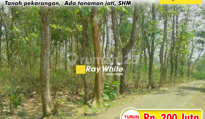 Di Jual Tanah di Jumopolo, Karanganyar Di Jual Tanah di Jumopolo, Karanganyar