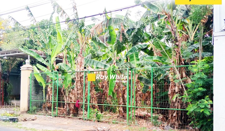 Di Jual Tanah di Ngemplak, Boyolali Di Jual Tanah di Ngemplak, Boyolali