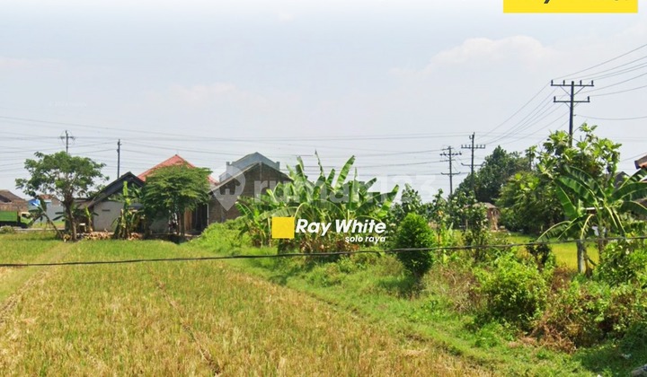 Land for Sale in Teloyo, Wonosari