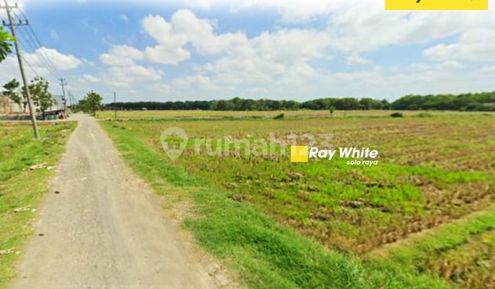 Land for Sale in Curidan, Parangjoro