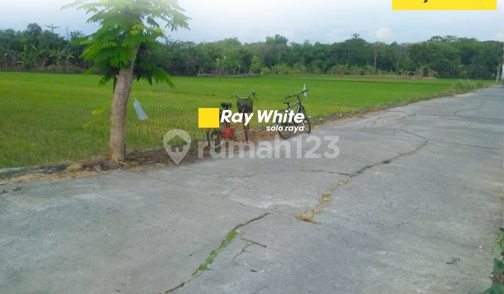 Land for Sale in Juwiring, Klaten