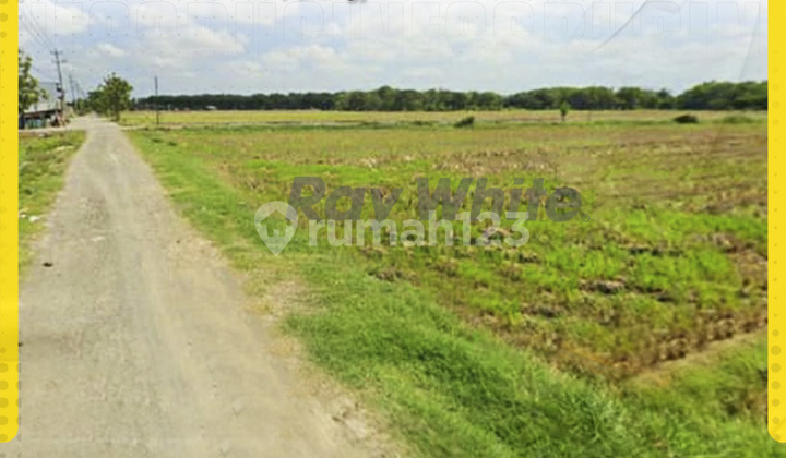 Land for Sale in Parangjoro, Grogol Land for Sale in Parangjoro, Grogol