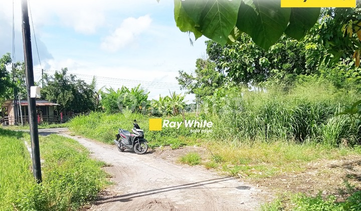 Di Jual Tanah di Ngrombo, Baki