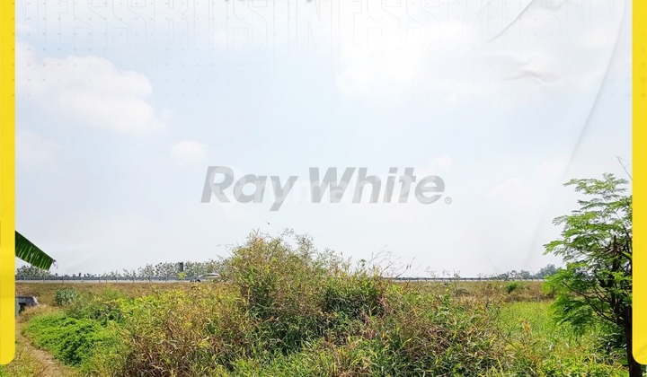 Di Jual Tanah di Polanharjo, Klaten