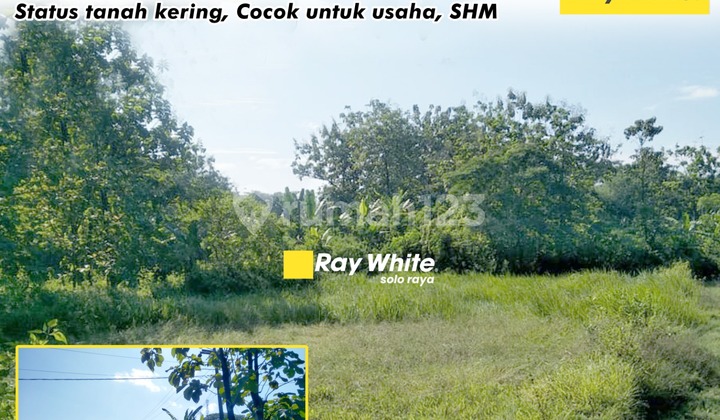 Di Jual Tanah di Ngrombo, Baki Di Jual Tanah di Ngrombo, Baki