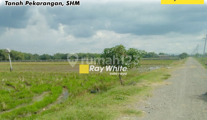 Land for Sale in Parangjoro, Grogol