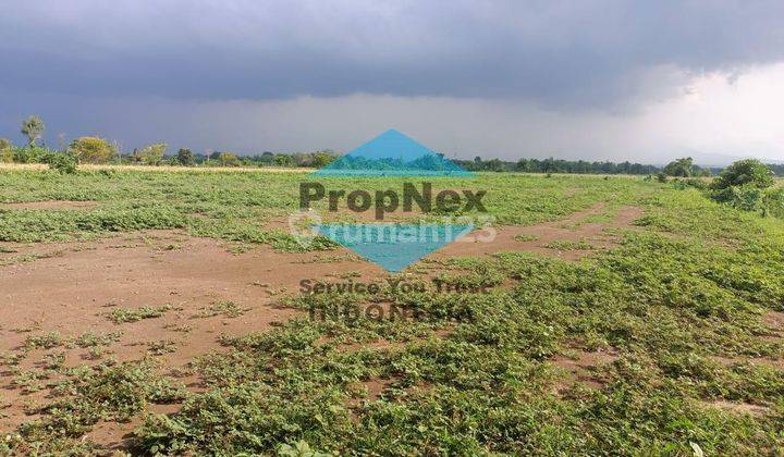 Jual Tanah 0 raya provinsi Kab Probolinggo 1