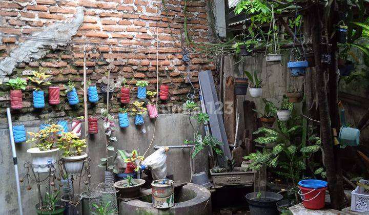 Rumah di Jalan Tembok Gede SHM 5