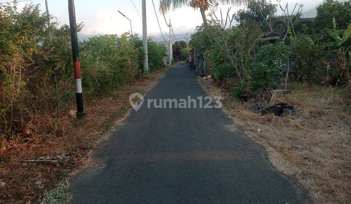 Tanah murah BU di Gerokgak Buleleng Bali 300 m² SHM 1