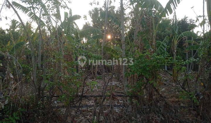 Tanah murah BU di Gerokgak Buleleng Bali 300 m² SHM 2