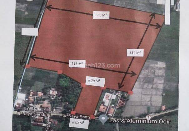 Tanah di Gending 100000m2/10ha jalan pantura 1