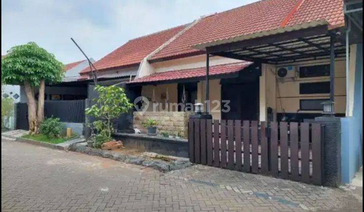 Rumah Palm Spring Jambangan Siap Huni SHM Bagus 1