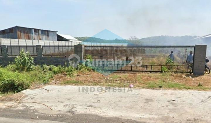 Land for Sale 1 hectare Probolinggo Land for Sale 1 hectare Probolinggo