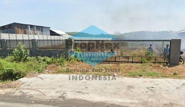 Dijual Tanah 1 hektar Probolinggo 1