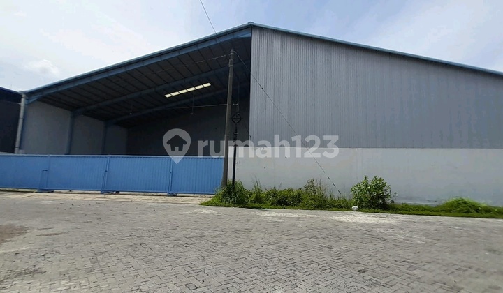 New Bumi Maspion Warehouse Romokalisari