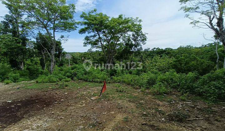 For Rent Terraced Land in Uluwatu Pecatu 4 Ha Ocean View 2