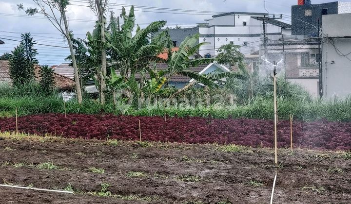 Jual Bu Tanah Lokasi Strategis Harga Menarik Jual Bu Tanah Lokasi Strategis Harga Menarik