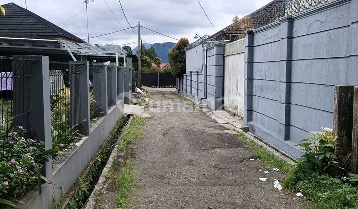 Jual Bu Tanah Matang Lembang