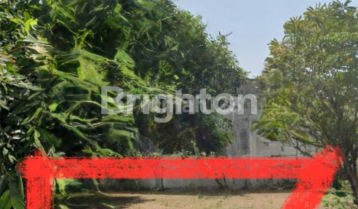 TANAH KAVING SIAP BANGUN!! LOKASI BAGUS DAN STRATEGIS!! COCOK UTK RUMAH TINGGAL!! 2 MENIT KE PAKUWON MALL SOLOBARU TANAH KAVING SIAP BANGUN!! LOKASI BAGUS DAN STRATEGIS!! COCOK UTK RUMAH TINGGAL!! 2 MENIT KE PAKUWON MALL SOLOBARU