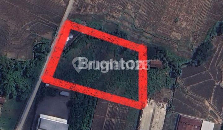 TANAH INDUSTRI ZONA MERAH!! LOKASI DI JL MOJO, DEKAT AKSES TOL KARANGANYAR!!! LOKASI PALING DI GEMARI