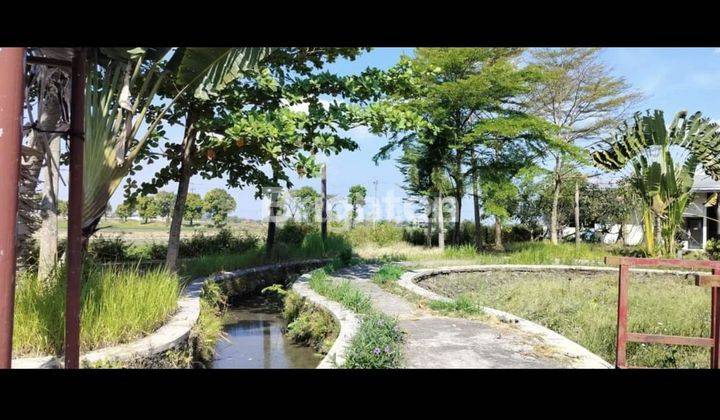 TANAH USAHA, SIAP PAKAI! KONDISI SUDAH ADA BANGUNAN DAN ADA KOLAM!! COCOK UNTUK USAHA KULINER DAN TEMPAT WISATA!! SANGAT STRATEGIS DAN AKSES MUDAH!! ISTIMEWA  2