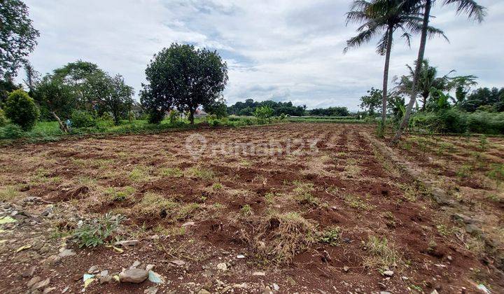 Tanah Kavling Murah Lokasi Strategis Cilebut Bogor 2
