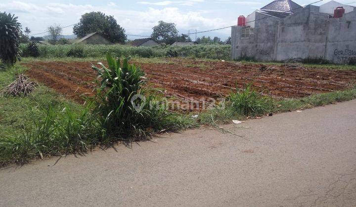 Tanah Kavling Murah Lokasi Strategis Cilebut Bogor 6