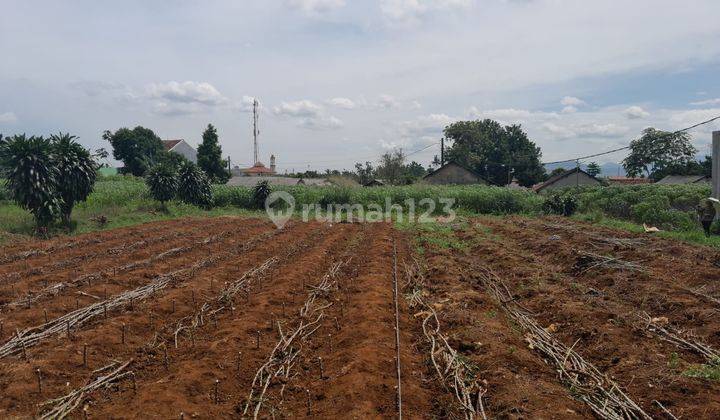 Tanah Kavling Murah Lokasi Strategis Cilebut Bogor 8