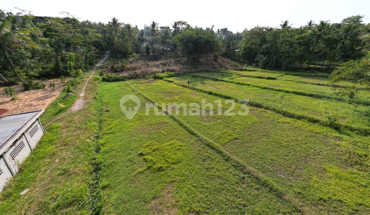 UNTUNG BESAR, Investasi Tanah Terbaik di Jogja Barat