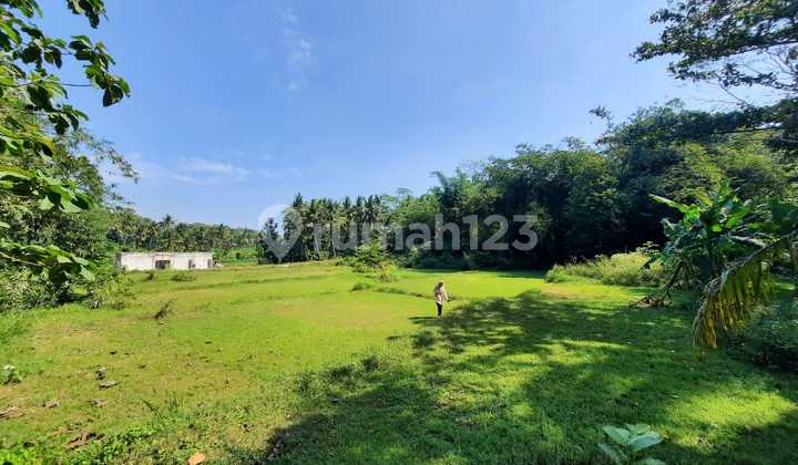 UNDER 1 Juta, Murah Tanah Nanggulan Jogja, SHMP AMAN