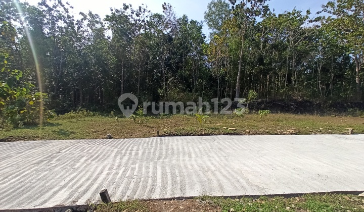 Safest Land Investment in Yogyakarta, Near YIA Airport