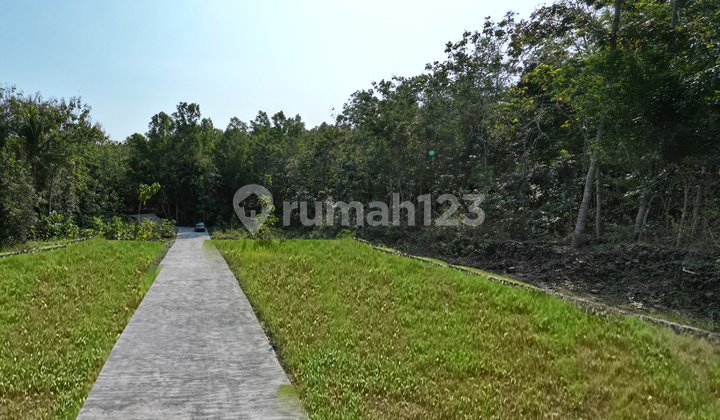 Looking for Affordable Land in Jogja, Easy Access, Cheap Plots in Kulon Progo