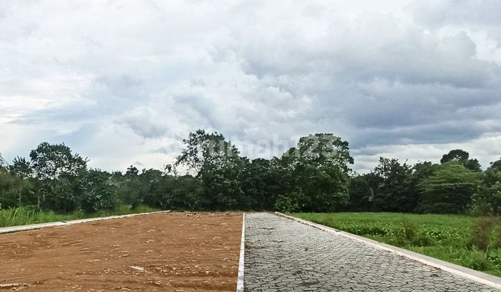 Area Trihanggo; Kavling Dijual Dalam Ringroad Jogja