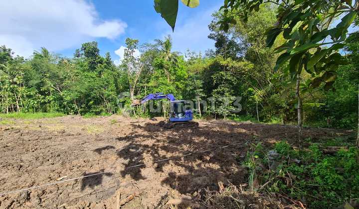 Jual Tanah 2 Jutaan, 5 Menit Kampus UMY, SHMP Jogja