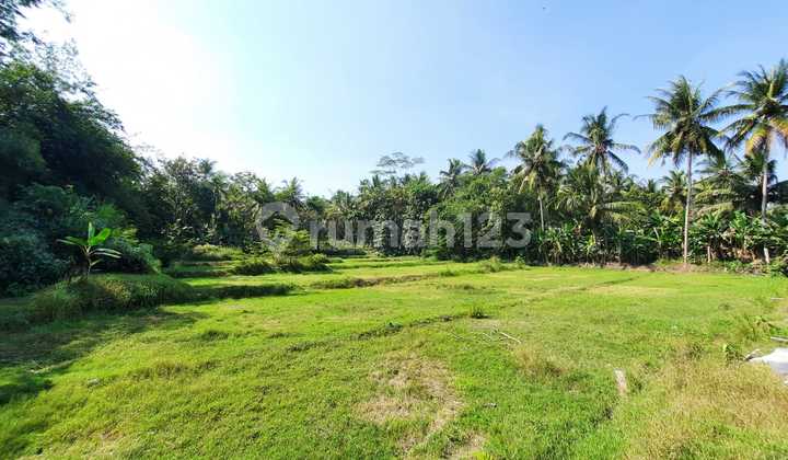 UNDER 1 Juta, Murah Tanah Nanggulan Jogja, SHMP AMAN