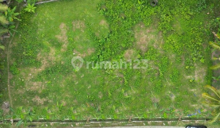 Bulan PROMO, Tanah 1 JUTAAN Jogja, Temon Kuloprogo Bulan PROMO, Tanah 1 JUTAAN Jogja, Temon Kuloprogo