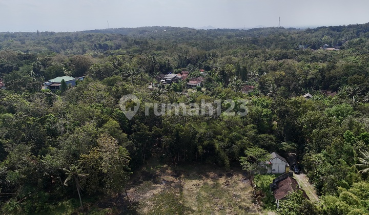 Kavling Kasihan Bantul 7 Menit Universitas Muhammadiyah Yogyakarta