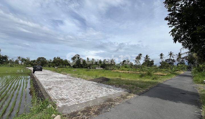 Kaliurang Strategic Land, 5 Minutes to UII Campus and Jogja's Kopi Klotok