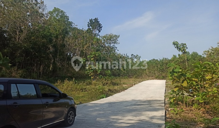 Affordable Plots in Jogja, Kulon Progo, Near YIA Airport