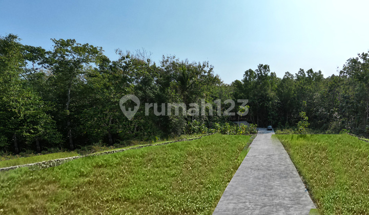 Affordable Plots in Jogja, Kulon Progo, Near YIA Airport