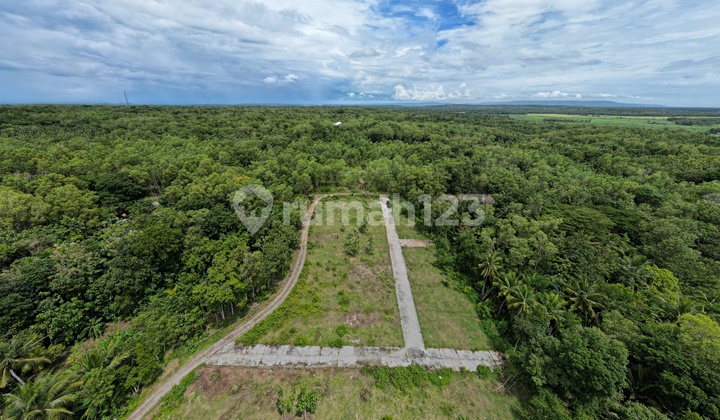 CHEAPEST, Land for 1 MILLION, Safe Legality, Jogja