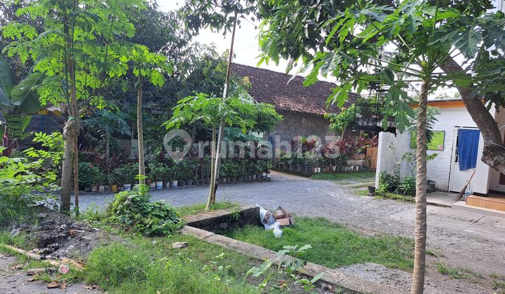 Kawasan UMY Jogja; Tanah Kavling SHM Ready- Balecatur Dekat Ringroad