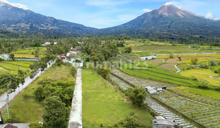 Tanah Kavling Dekat Tol Palbapang - View Merapi & Sawah, 10 Menit ke Borobudur Tanah Kavling Dekat Tol Palbapang - View Merapi & Sawah, 10 Menit ke Borobudur