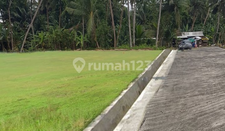 Investasi Tanah Jogja, Kawasan Bandara YIA Kulonprogo Investasi Tanah Jogja, Kawasan Bandara YIA Kulonprogo