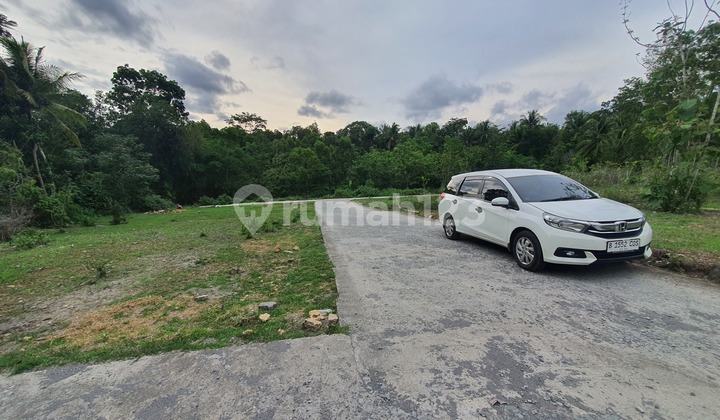 Kulon Progo – Kavling Strategis Dekat Bandara, Cocok untuk Hunian & Kos