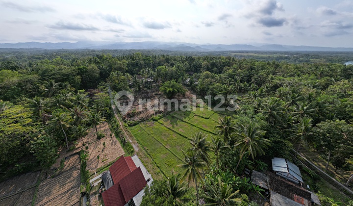 UNTUNG BESAR, Investasi Tanah Terbaik di Jogja Barat