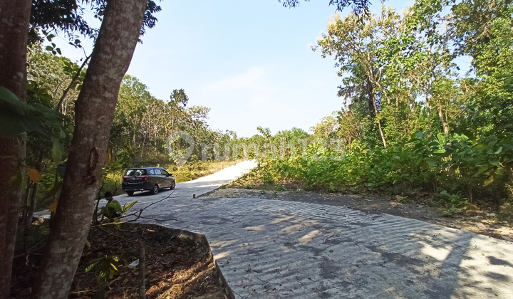 Looking for Affordable Land in Jogja, Easy Access, Cheap Plots in Kulon Progo