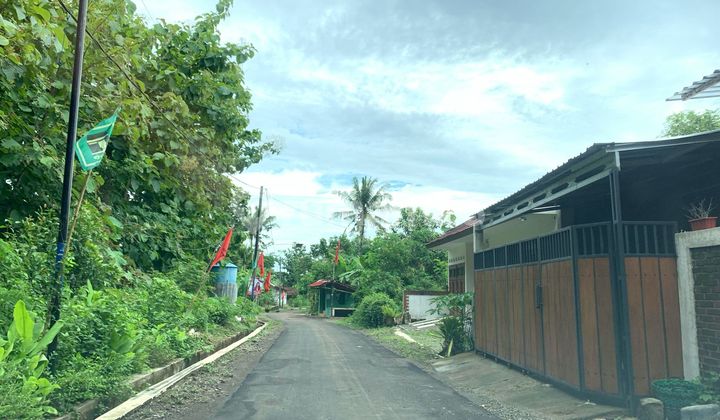 TANPA BUNGA, 1 JUTAAN Tanah Murah Jogja, Moyudan