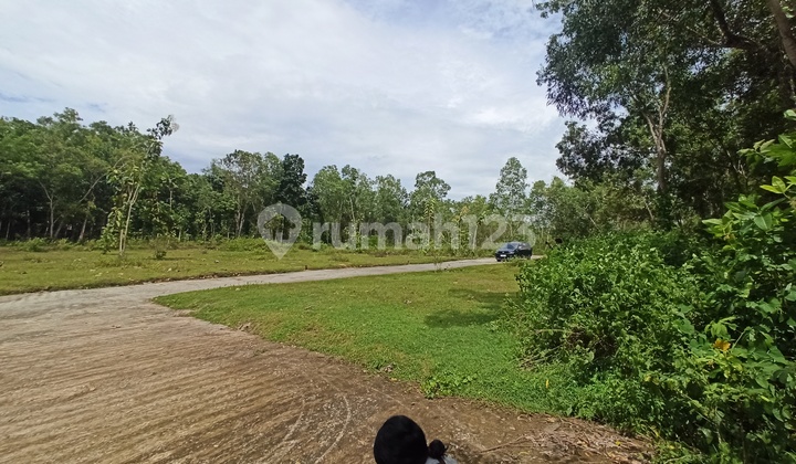 Nearest Access to Yogyakarta Kulonprogo Airport